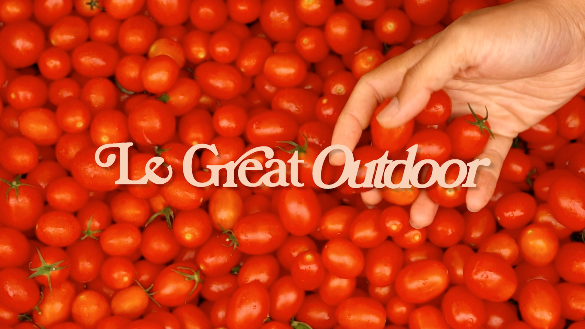 Le Great Outdoor Website Video